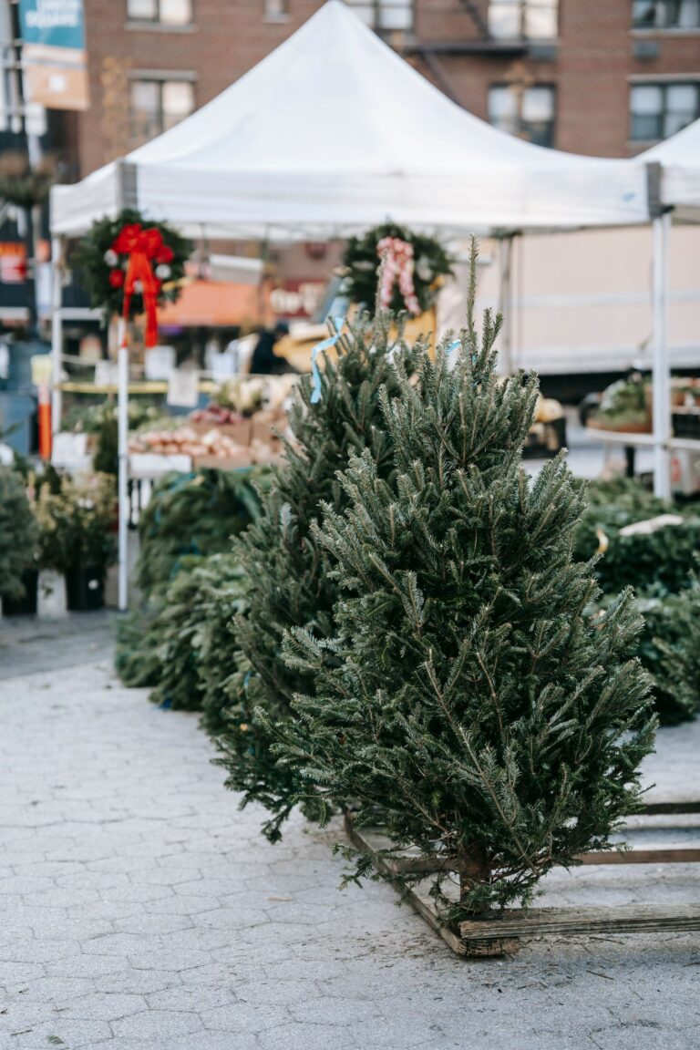 Sälja julgranar